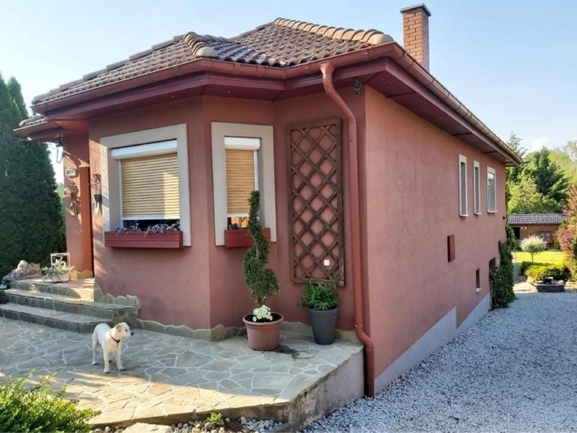 Nyirjes Vendeghaz Hotell Balassagyarmat Exteriör bild