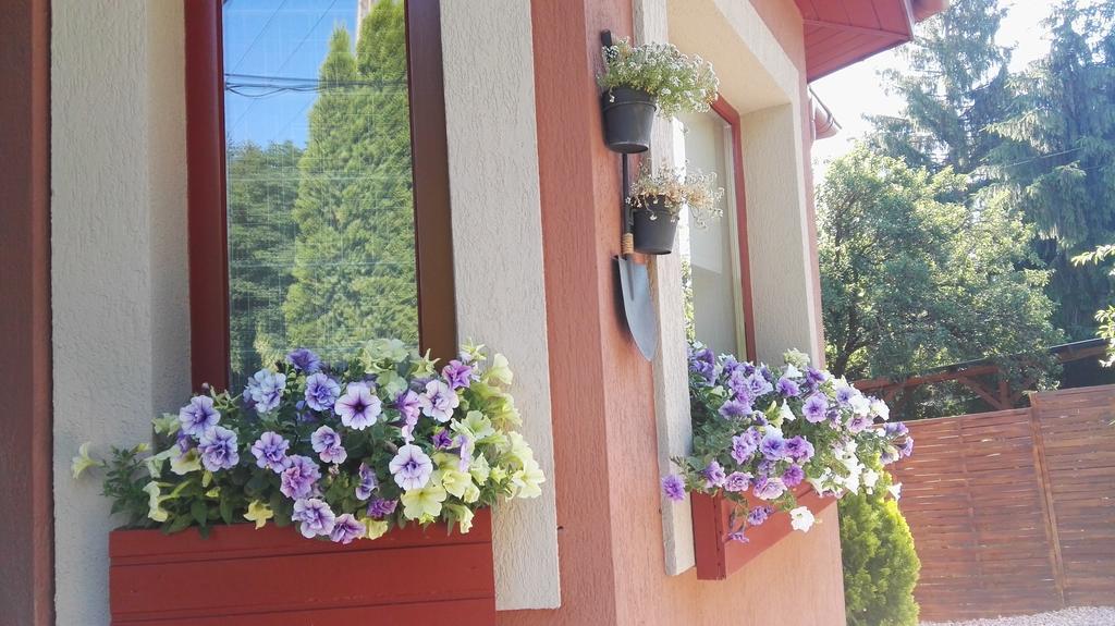 Nyirjes Vendeghaz Hotell Balassagyarmat Exteriör bild