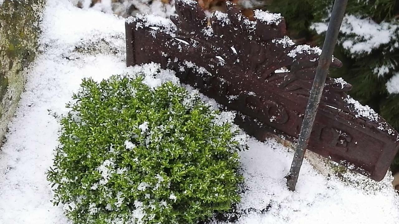 Nyirjes Vendeghaz Hotell Balassagyarmat Exteriör bild